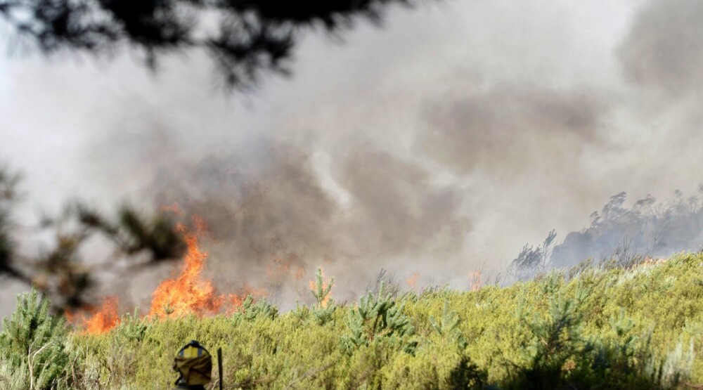 Foto: EPA/MARIAM A. MONTESINOS