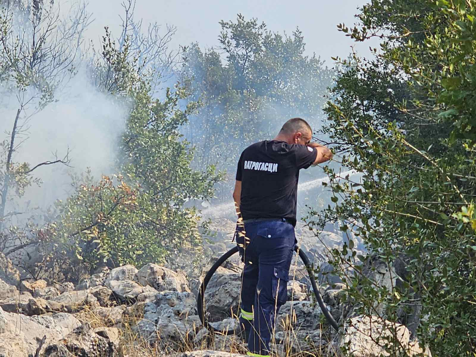 Foto: Kristina Perković/Standard