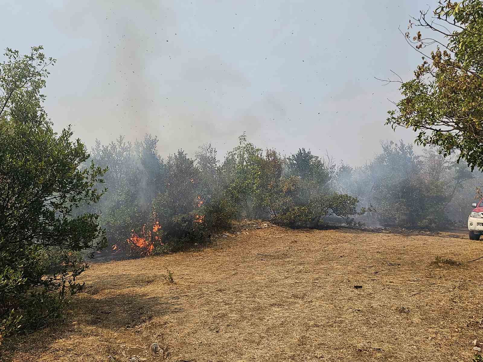 MVP: Podrška Crnoj Gori u borbi protiv požara potvrda međunarodne solidarnosti, danas stiže i avion iz UAE