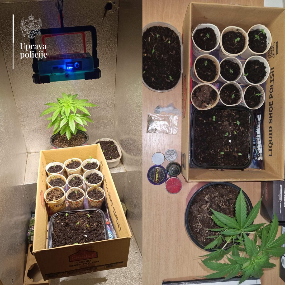 Foto: Uprava policija