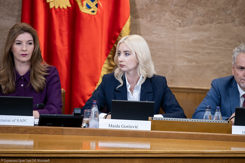 Gorčević poziva na hitna imenovanja u Ustavnom sudu: Crna Gora nema vremena za čekanje