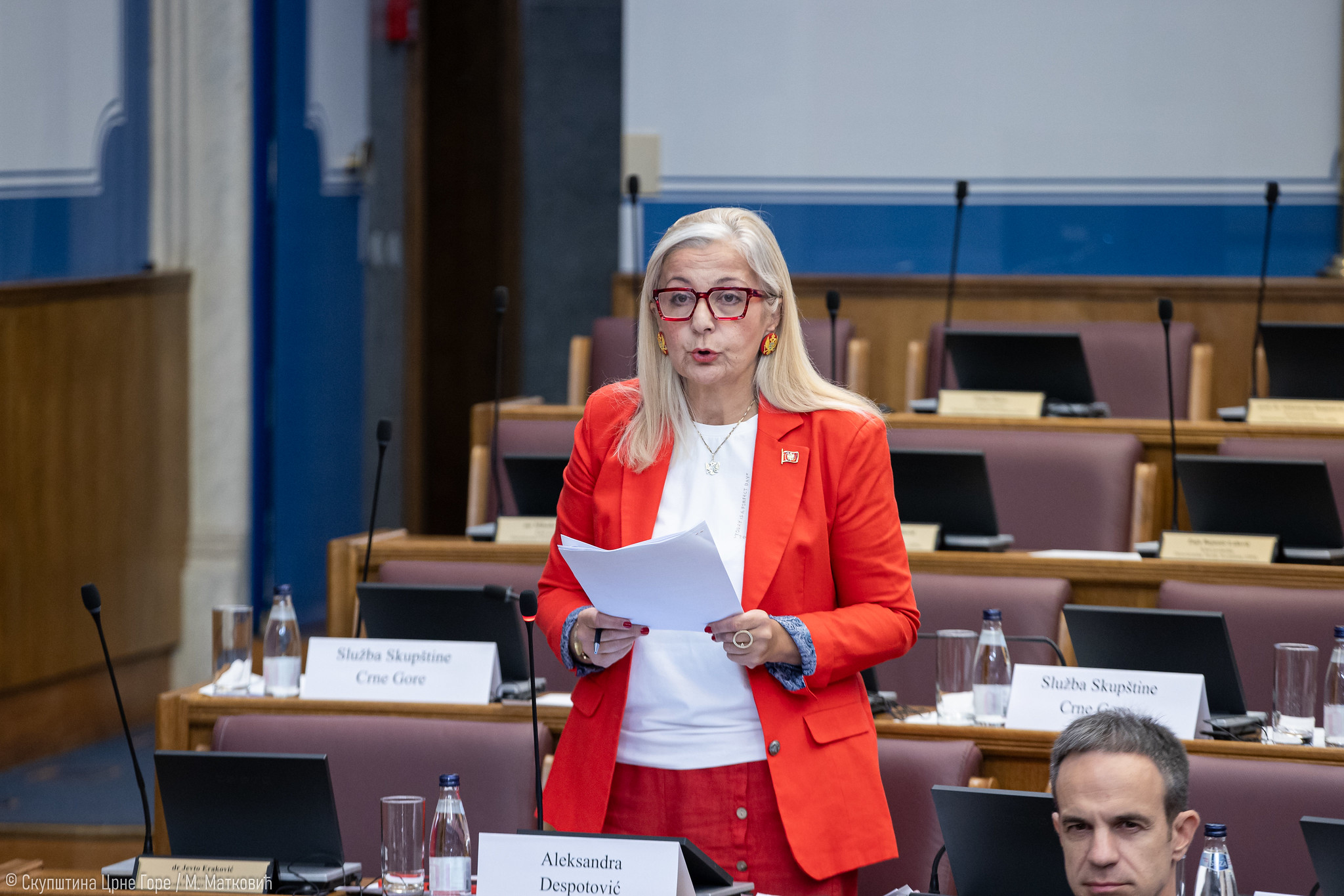 FOTO: SKUPSTINA CG