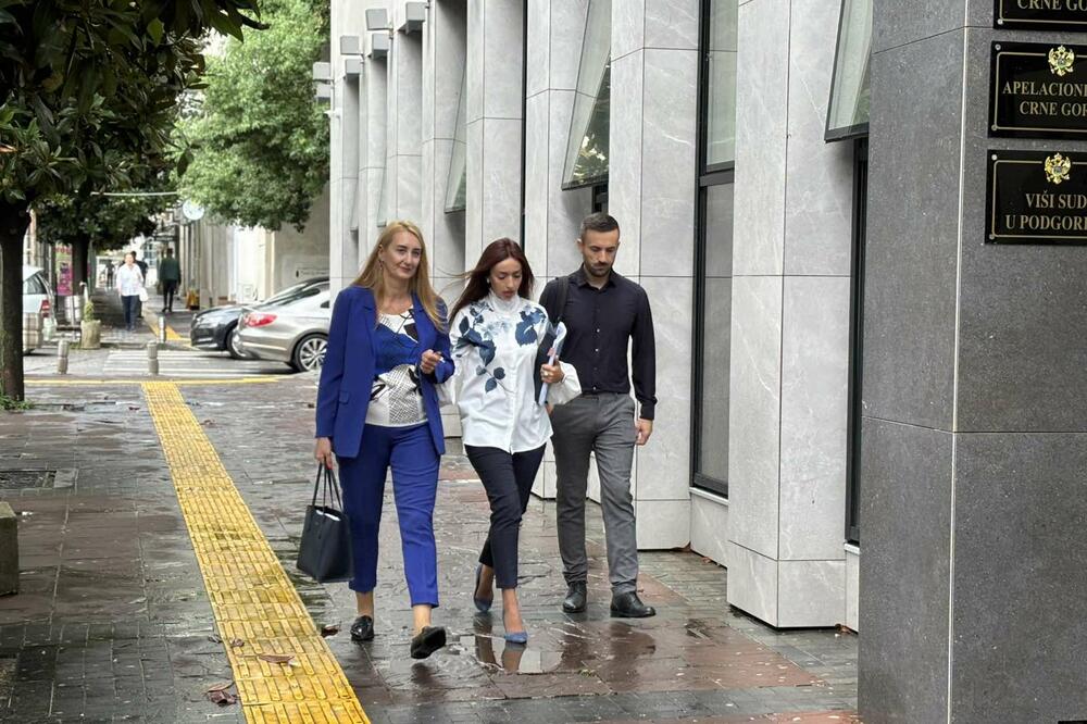 Perović i Paović dolaze na današnje ročište, Foto: Jelena Kočanović/ Vijesti