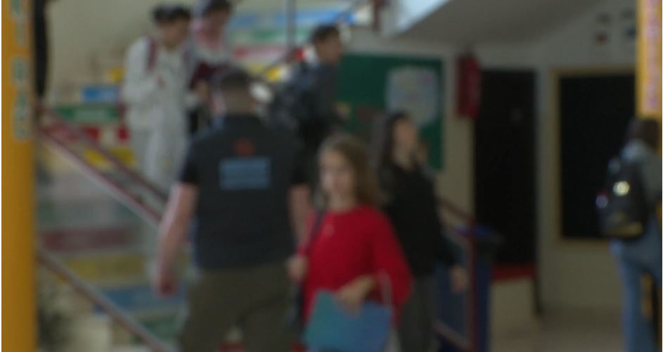 HRA, CGO i Udruženje Roditelji: Zaštitari u školama su intermeco – sistemska rješenja su ključ