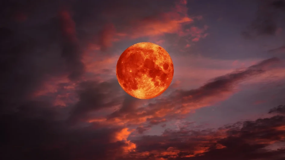 Foto: Shutterstock