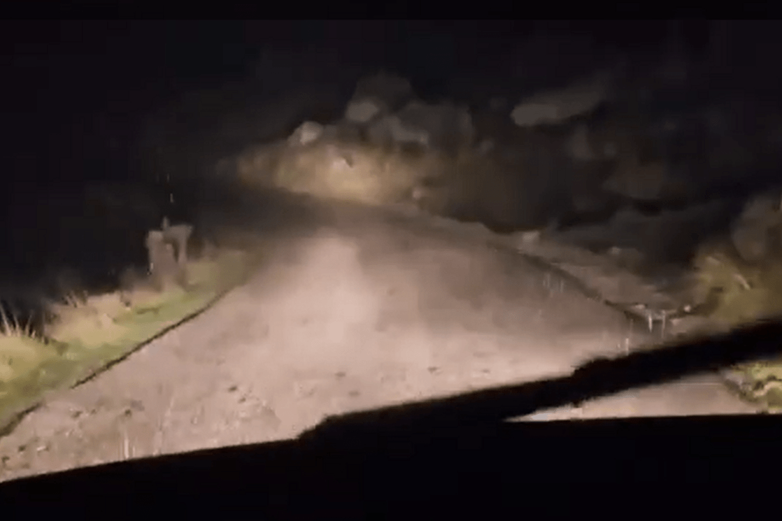 Prve pahulje na Durmitoru (VIDEO)