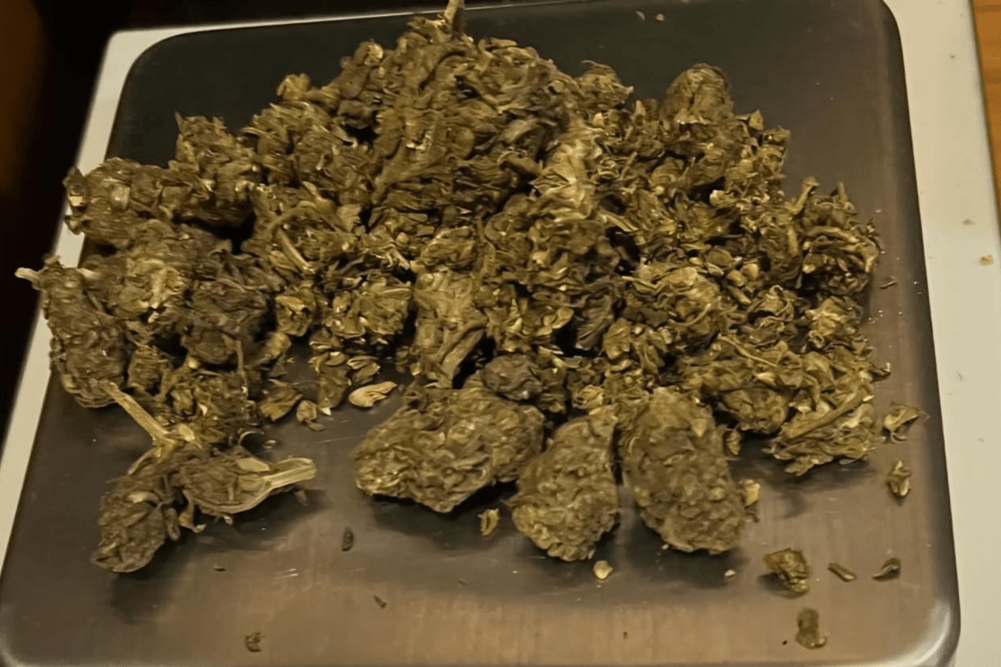 Ulcinj: Uhapšeno operativno interesantno lice, pregledom pronađena marihuana