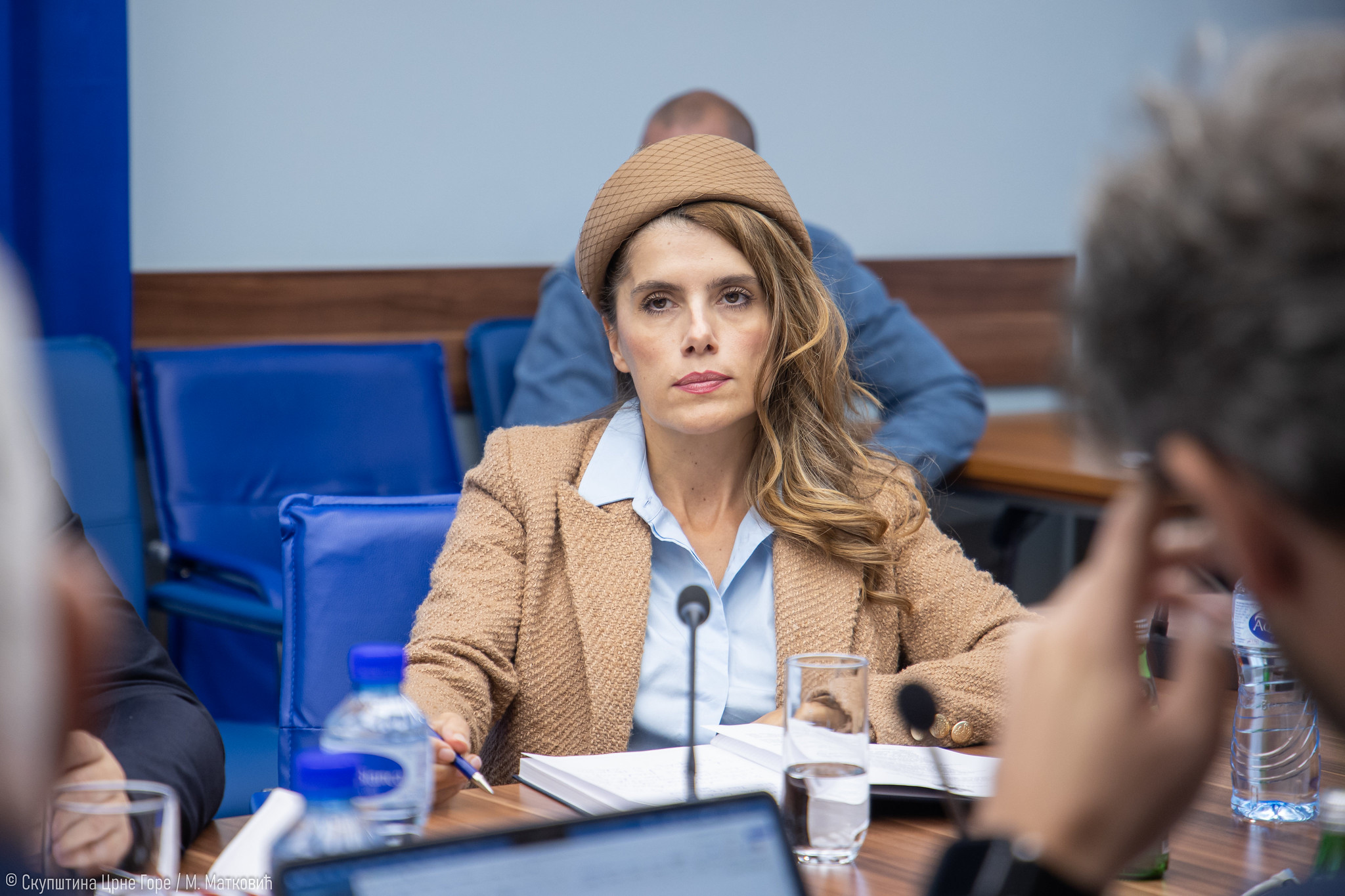 Vuković Kuč: Prijetnje reisu opasan udar u stubove građanskog društva