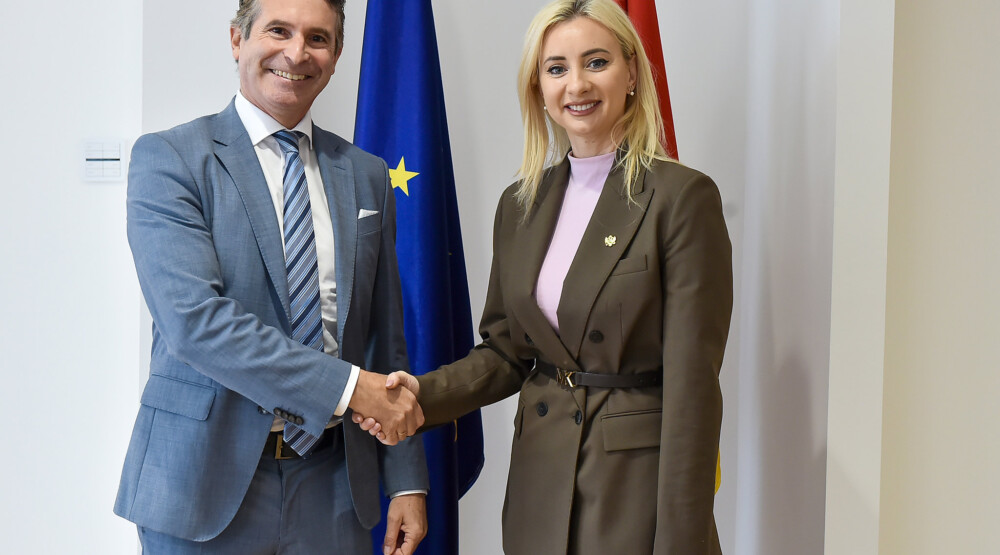 Gorčević sa Bajsvengerom: Ekonomski razvoj i evropska budućnost – prioritet Crne Gore