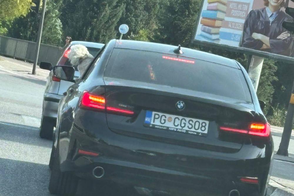 Direktor ASK službenim automobilom vozio psa