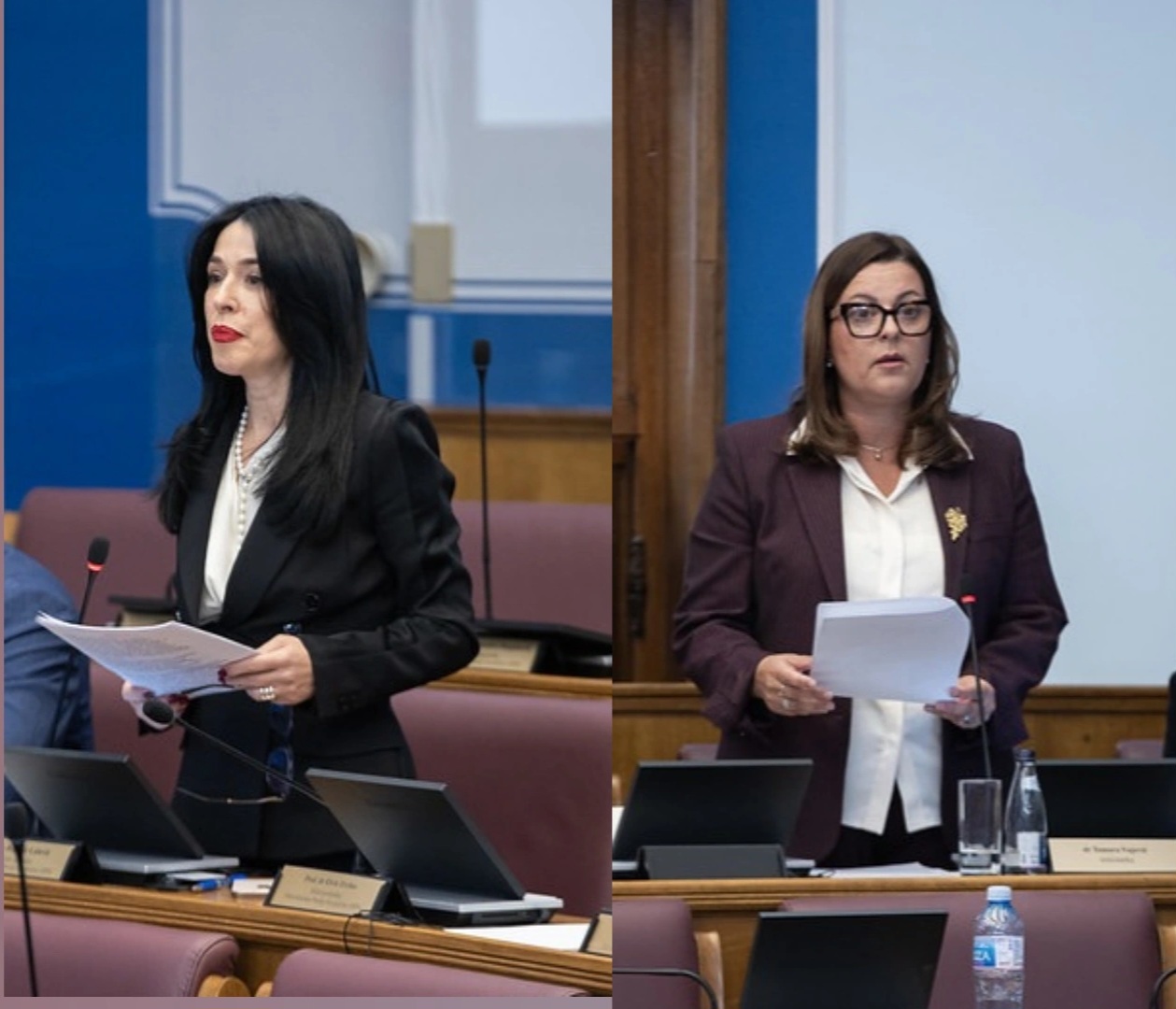 Foto:Skupština CG