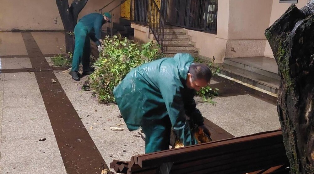 Zelenilo od početka godine zabilježilo skoro 2.700 poziva građana, šteta od vandalizma mjeri se u desetinama hiljada eura
