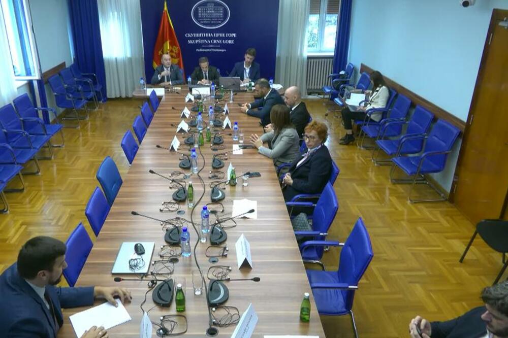 Radunović povukao kandidaturu, Odbor za ekonomiju opet predlaže člana Senata DRI