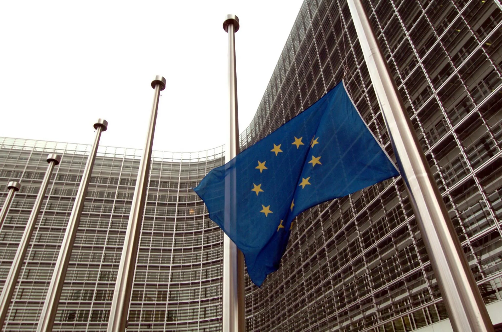 Zemlje EU pripremaju prijedlog za odlaganje zakona o krčenju šuma do decembra 2026.