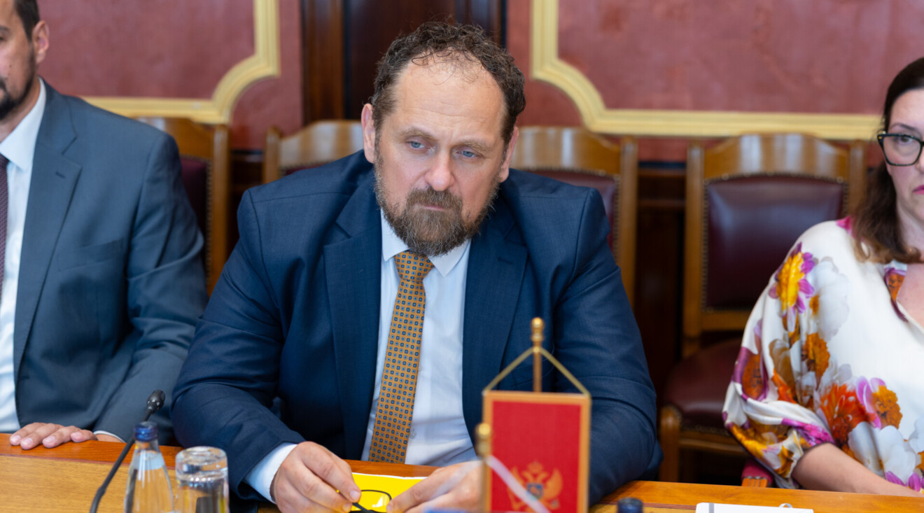 Stojović: Uputio sam poziv da Ibrahim Čikić bude gost Anketnog odbora