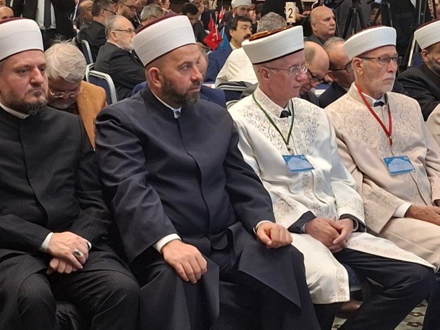 Fejzić iz Turske: Osjetio sam stid zbog pitanja o dešavanjima u Crnoj Gori
