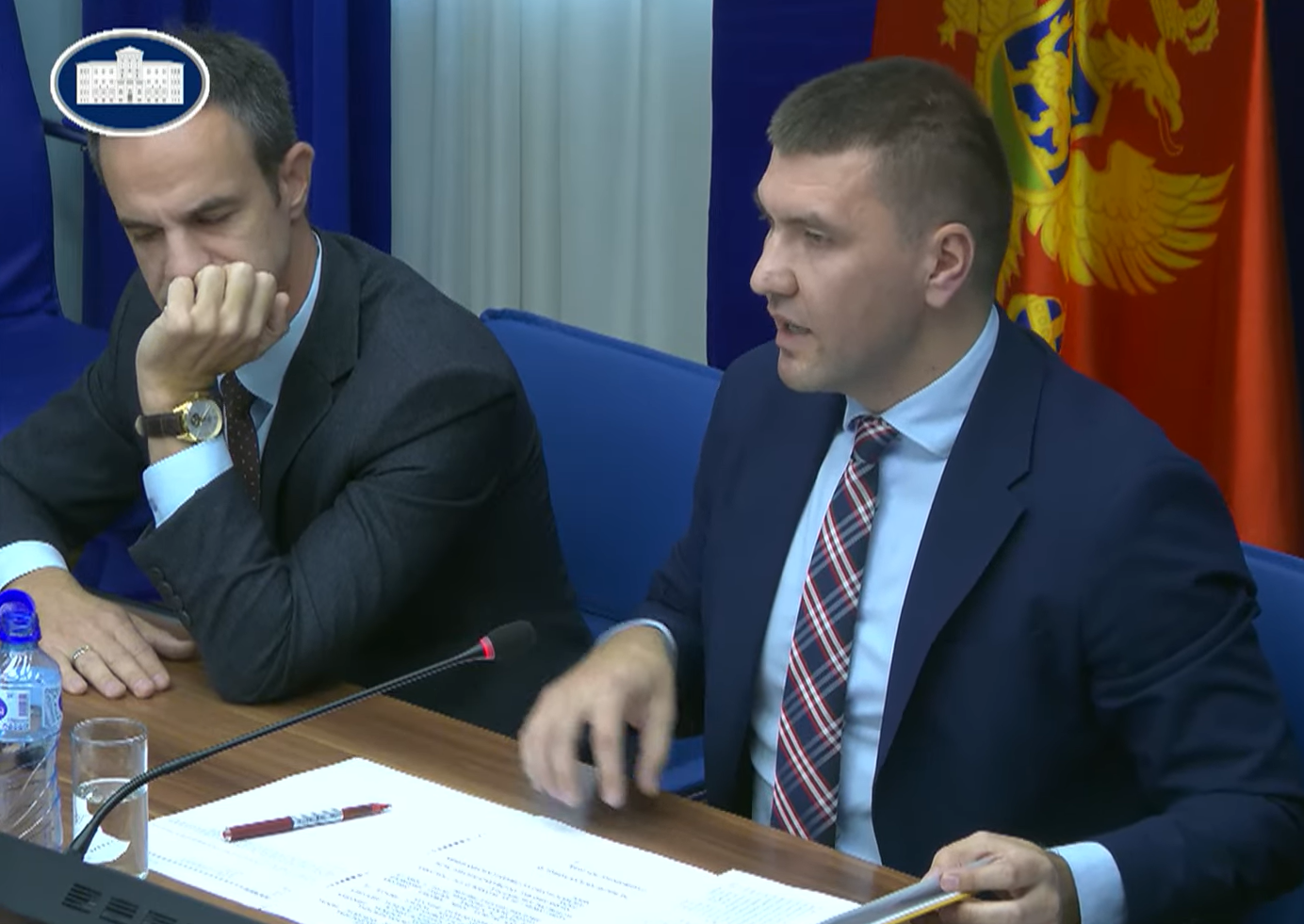 Foto: Printscreen/ YouTube/ Skupština Crne Gore