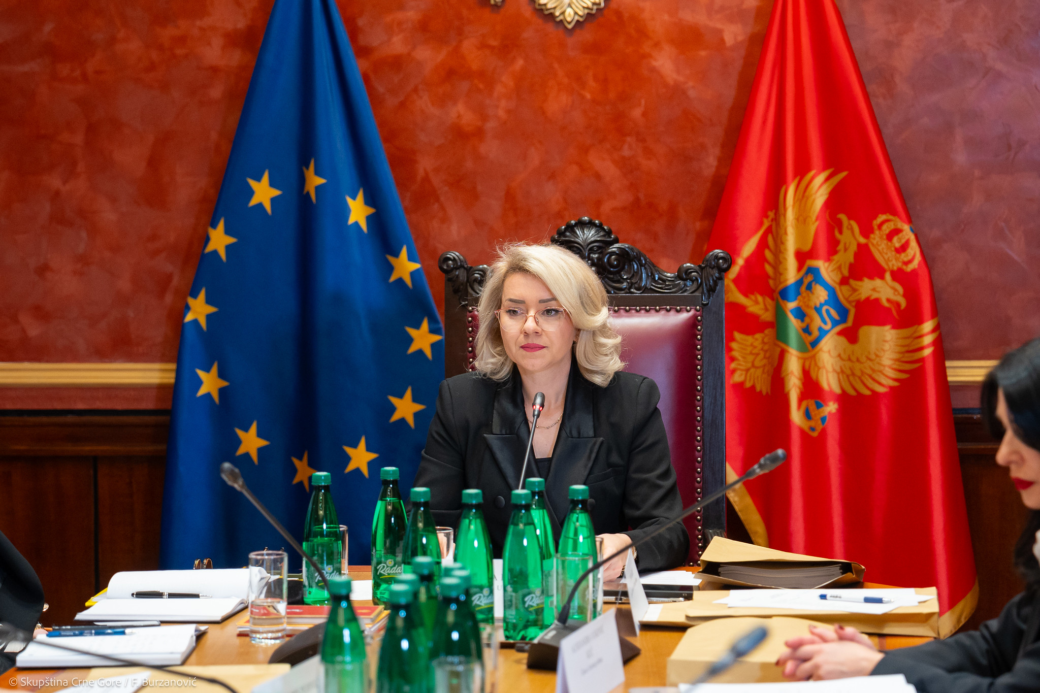 FOTO: SKUPŠTINA CG