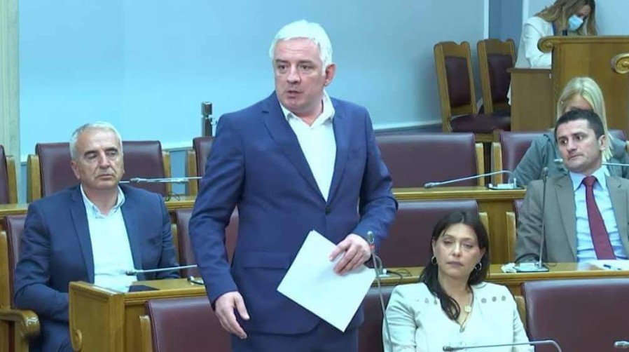 Vučurović i Đurović predložili izmjene: Bez „nasilne aneksije“ u Zakonu o statusu dinastije Petrović Njegoš