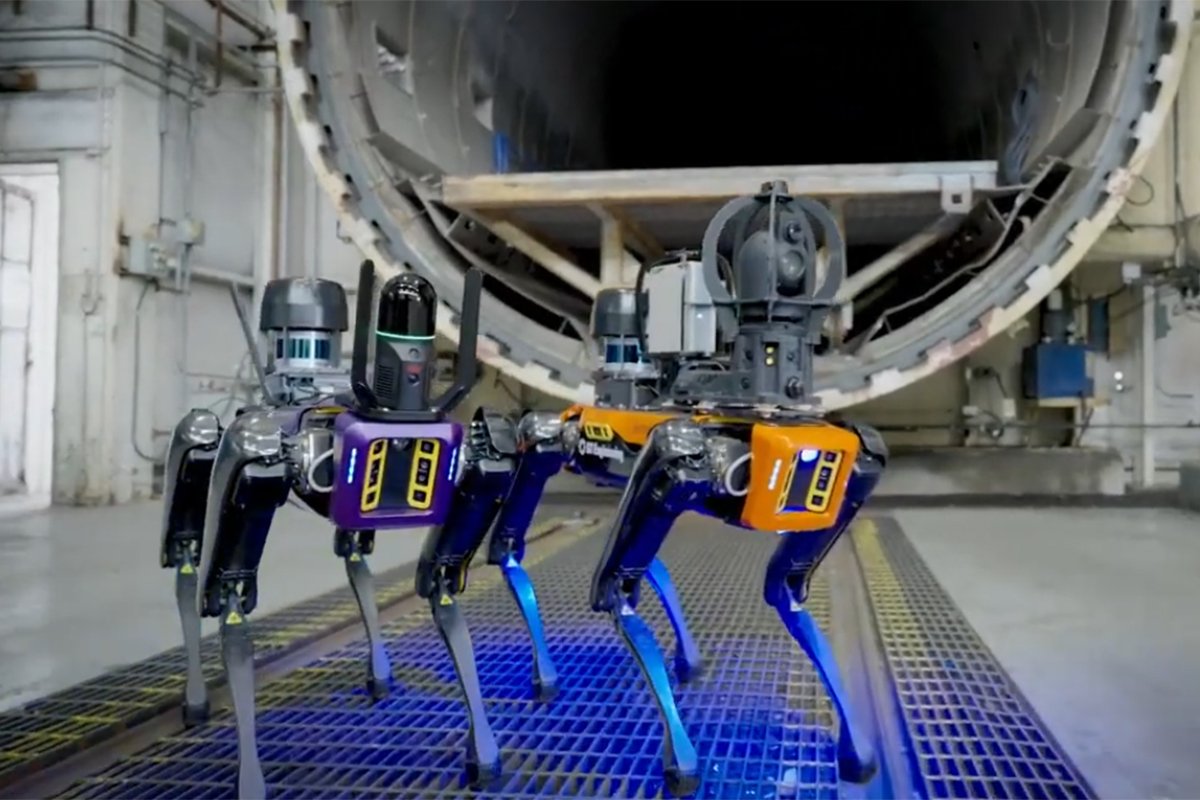 Robotski pas umjesto čovjeka: Nova era kontrole viskija