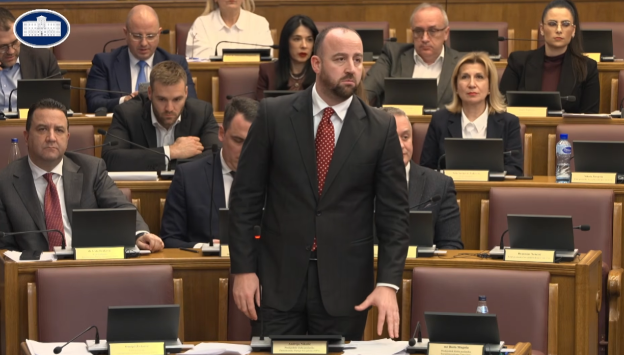 Andija Nikolić, Foto: Printscreen/ YouTube/ Skupština Crne Gore