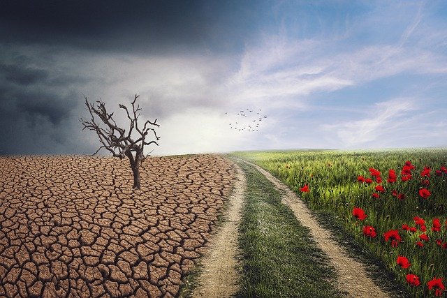Usvojen Predlog zakona o klimatskim promjenama