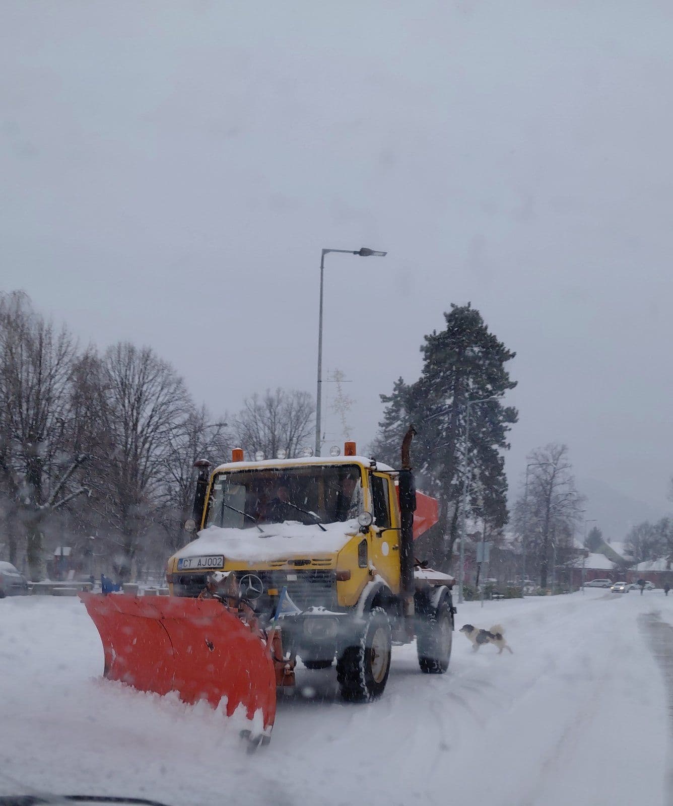 (FOTO) Cetinje pod bijelim pokrivačem, mehanizacija rašćišćava ulice