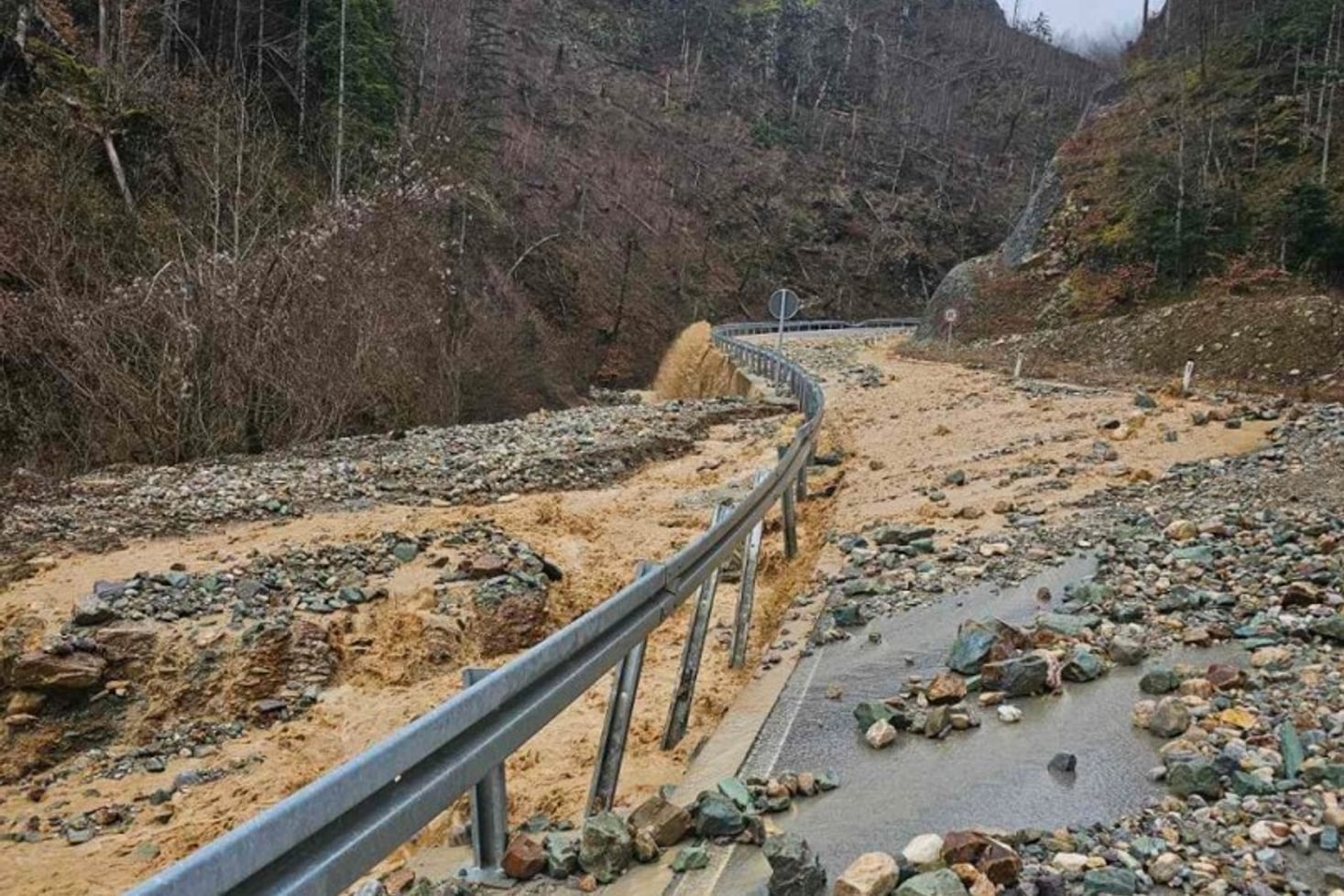 Medojević: Voda u Mojkovcu nosi asfalt, situacija rizična, put ka ski-centru prekinut