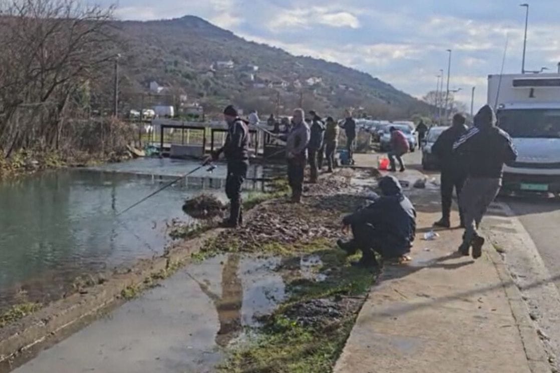 Plantaže nakon prelivanja pastrmke iz ribnjaka u Marezu: Građani da se uzdrže od hvatanja i prisvajanja ribe