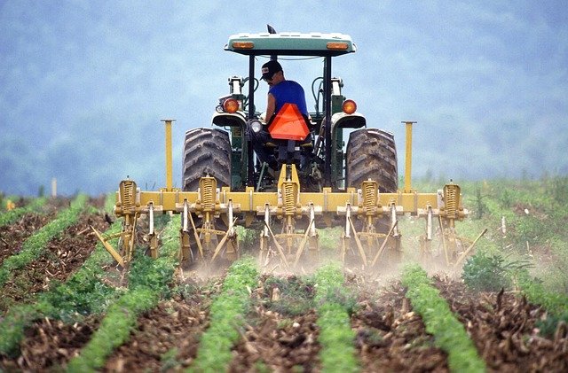 Mijenjaju se pravila za tržište poljoprivrednih proizvoda: Veća kontrola i podrška proizvođačima