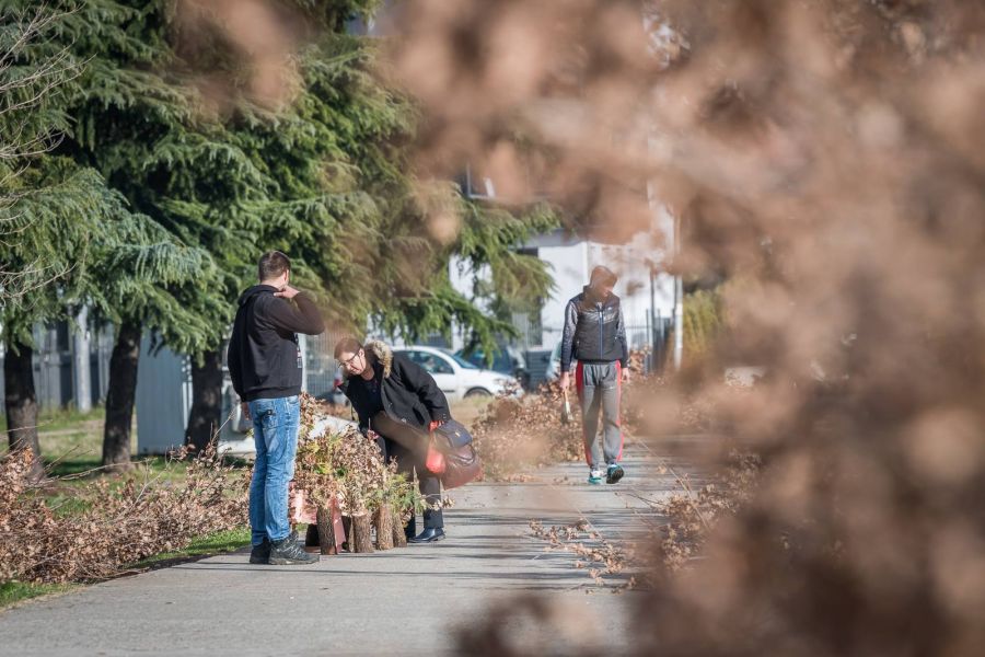 Danas je Badnji dan – praznik ljubavi i pomirenja