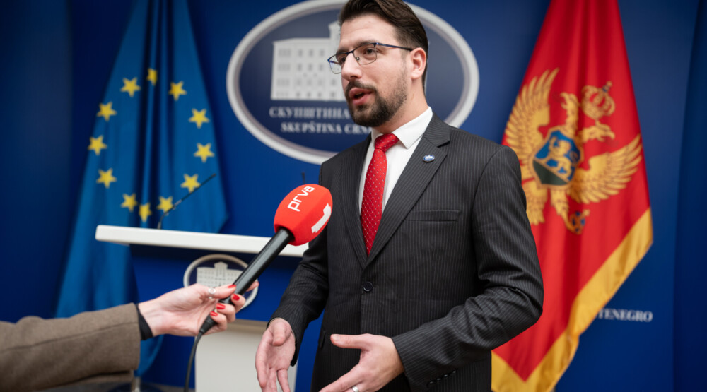 Miličić: NSD će podržati inicijative DNP-a na Vladi
