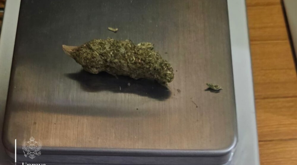 Na Sukobinu kod Ulcinjanina pronađena marihuana, podnijeta prekršajna prijava