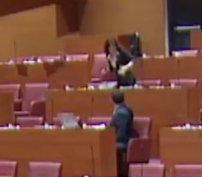 (VIDEO) Hrvatsku poslanicu udarila struja u toku skupštinske rasprave