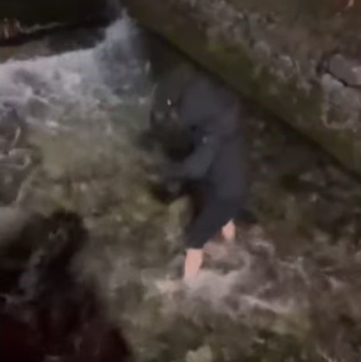 (VIDEO) Pljevljak uskočio u hladnu rijeku da bi spasio mačku