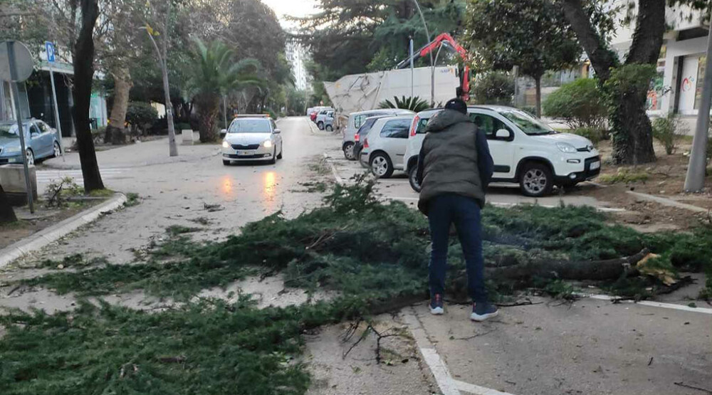 Bar: Bura lomila grane, komunalci posipaju so i rizlu na kritičnim putevima
