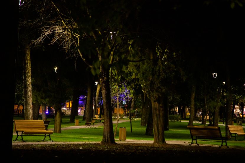 Podgorica: Tuča maloljetnika u Njegoševom parku