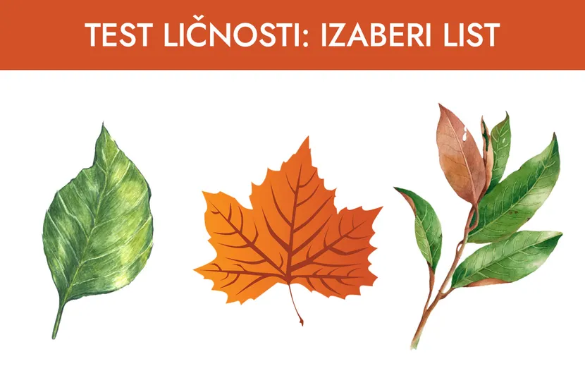 Test ličnosti: Odaberite list i saznajte koja je vaša skrivena snaga