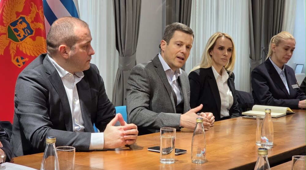 Glavni grad: Pojačan nadzor i nulta tolerancija za nesavjesno postupanje prema životinjama