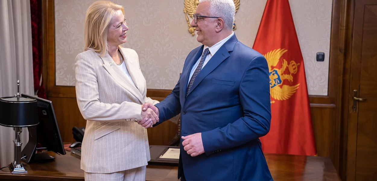 Od “razbojničkog postupanja“ do savjetničke fotelje – politički salto Andrije Mandića i Danijele Đurović
