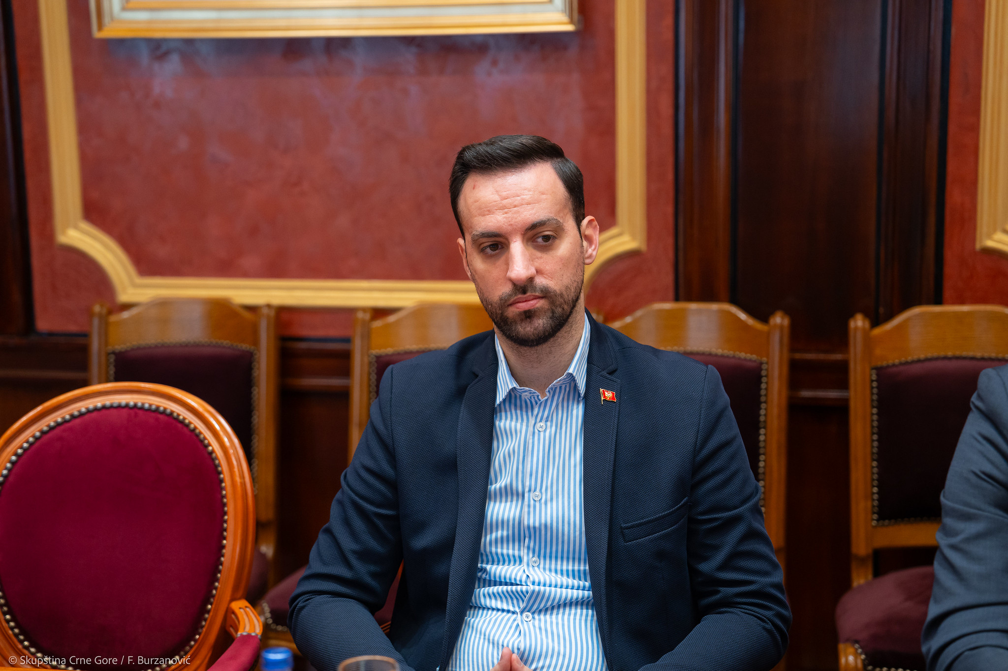 Zirojević: Ukoliko parlamentarna većina ostane pri svom stavu, pokrenućemo ocjenu ustavnosti