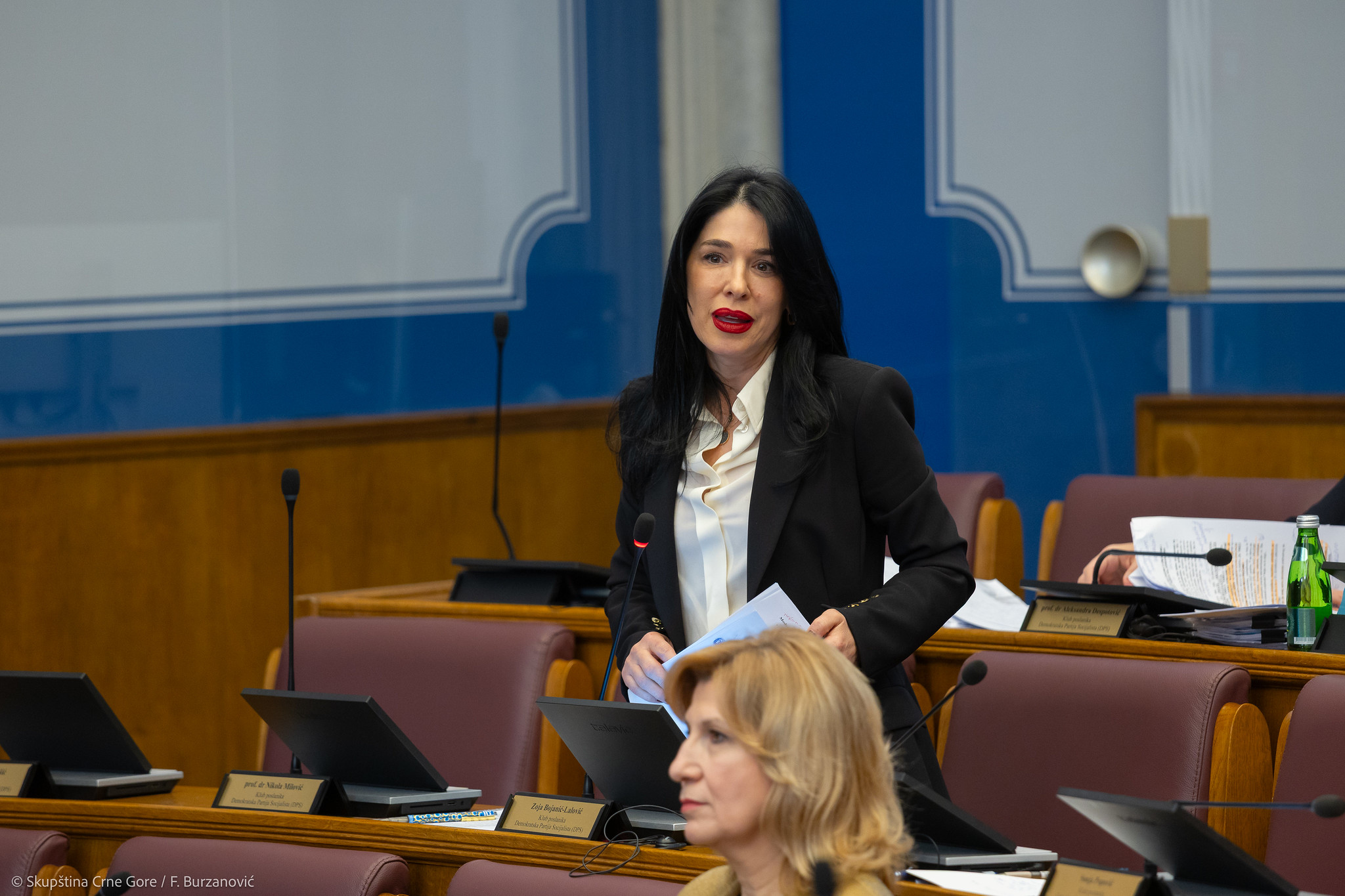 Foto: Skupština CG