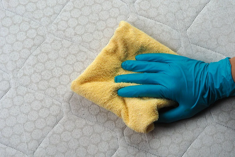 Foto: Shutterstock