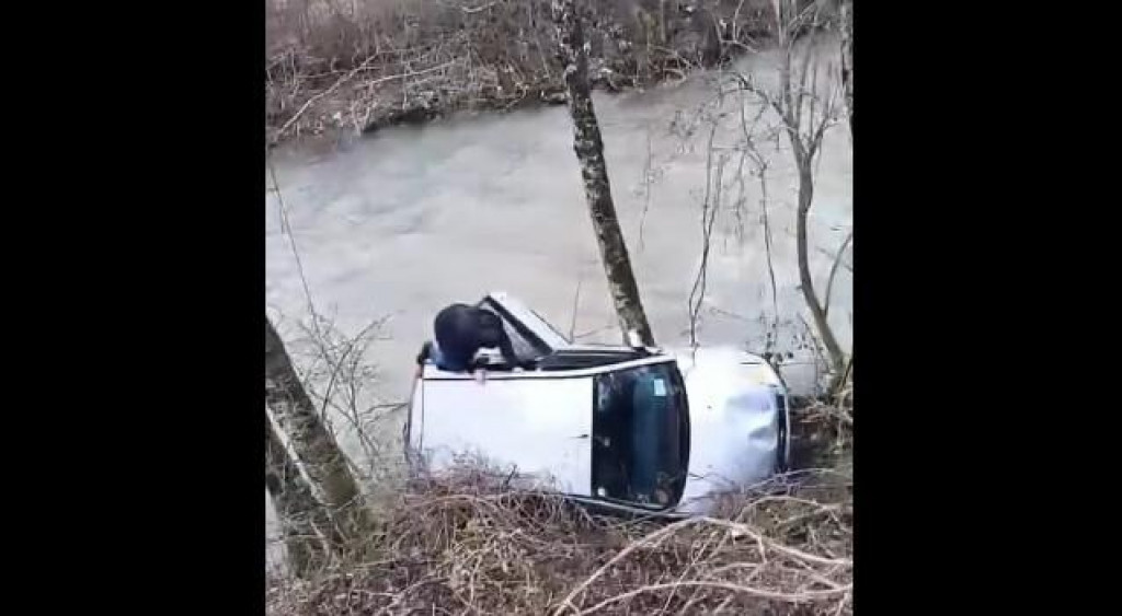 Bijelopoljac spasio Pljevljaka koji je kolima sletio u rijeku