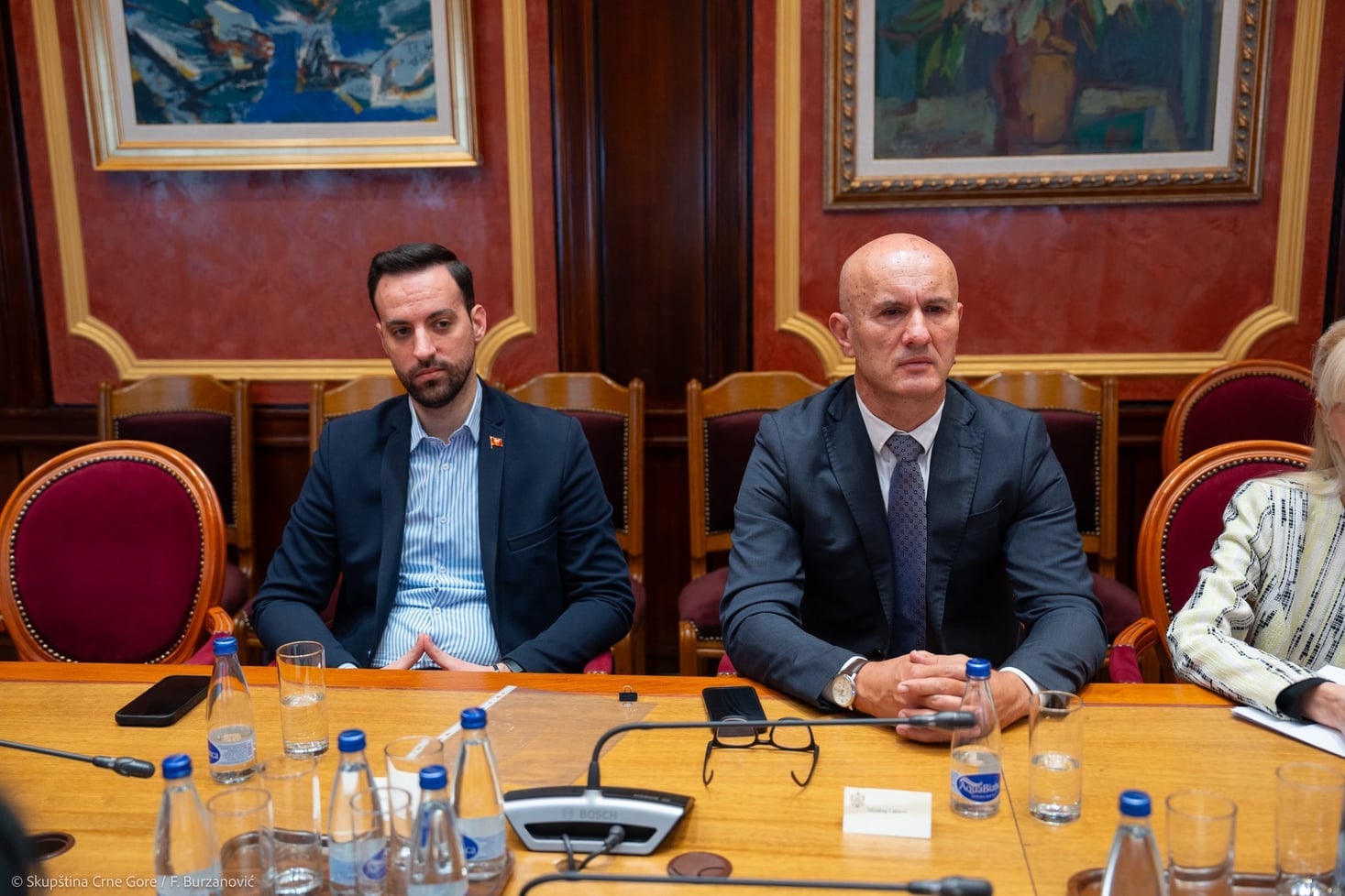 Zirojević: Saradnja sa Lakovićem u Odboru za bezbjednost bila na najvišem nivou