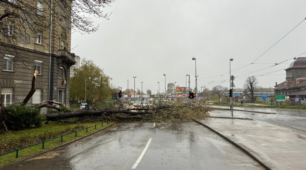 Foto: N1