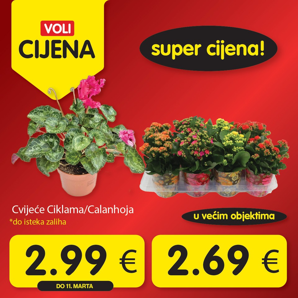 Četvrtak je u znaku novih Voli cijena!