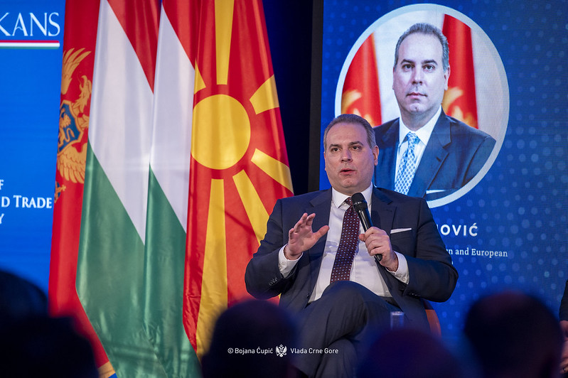 Ivanović: Napredak Crne Gore ka EU potvrđuje kredibilitet politike proširenja