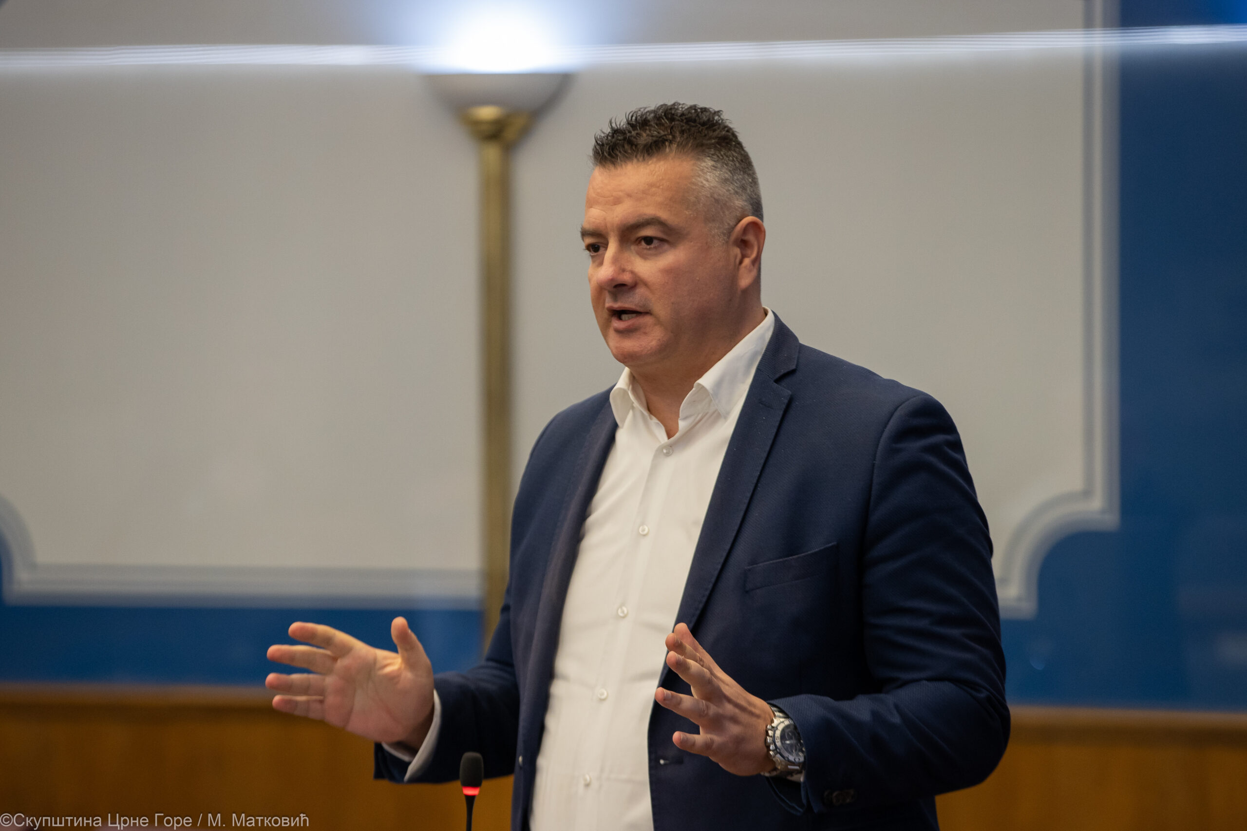 FOTO: SKUPŠTINA CG