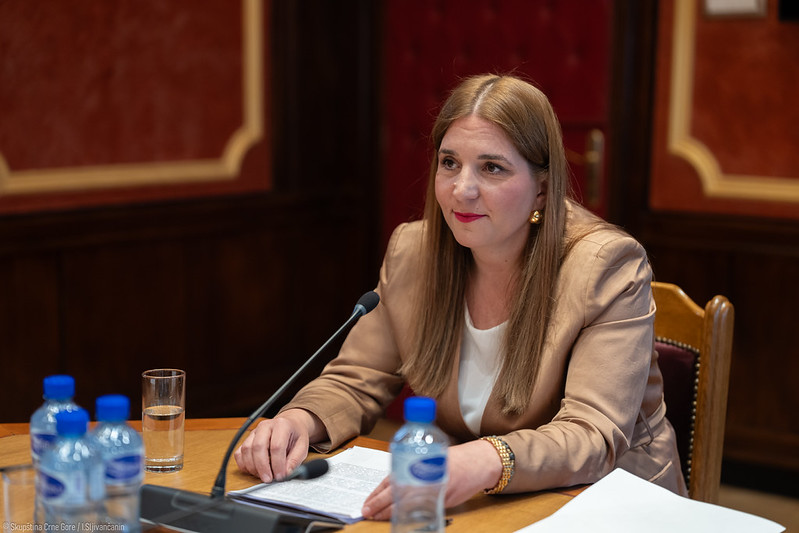 Odbor podržao imenovanje Šćepanović za ambasadorku i stalnu predstavnicu pri Savjetu Evrope